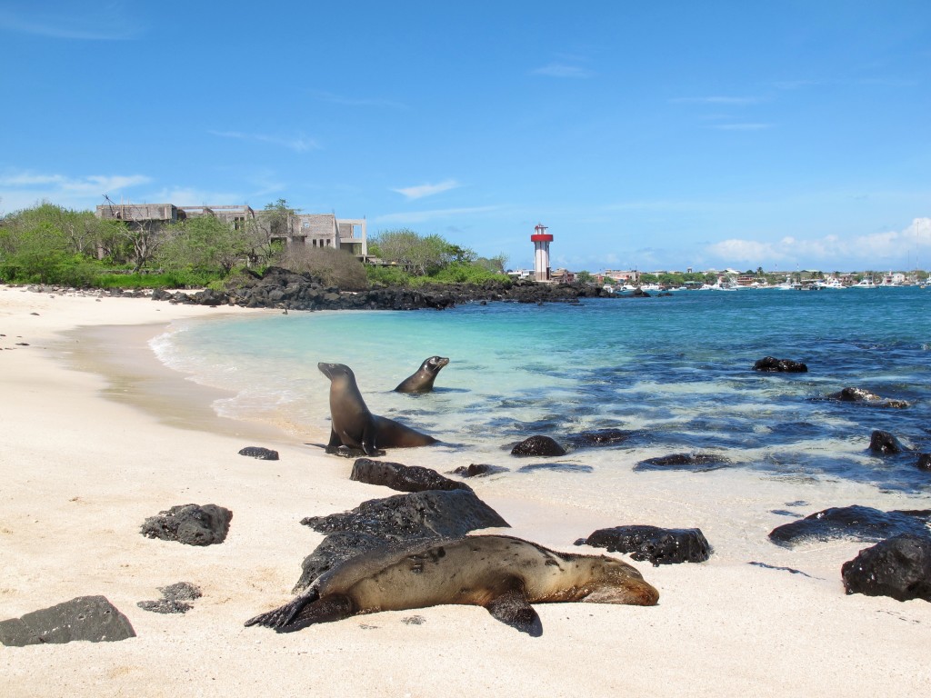 The Best Island in Galápagos is San Cristóbal Island in Ecuador