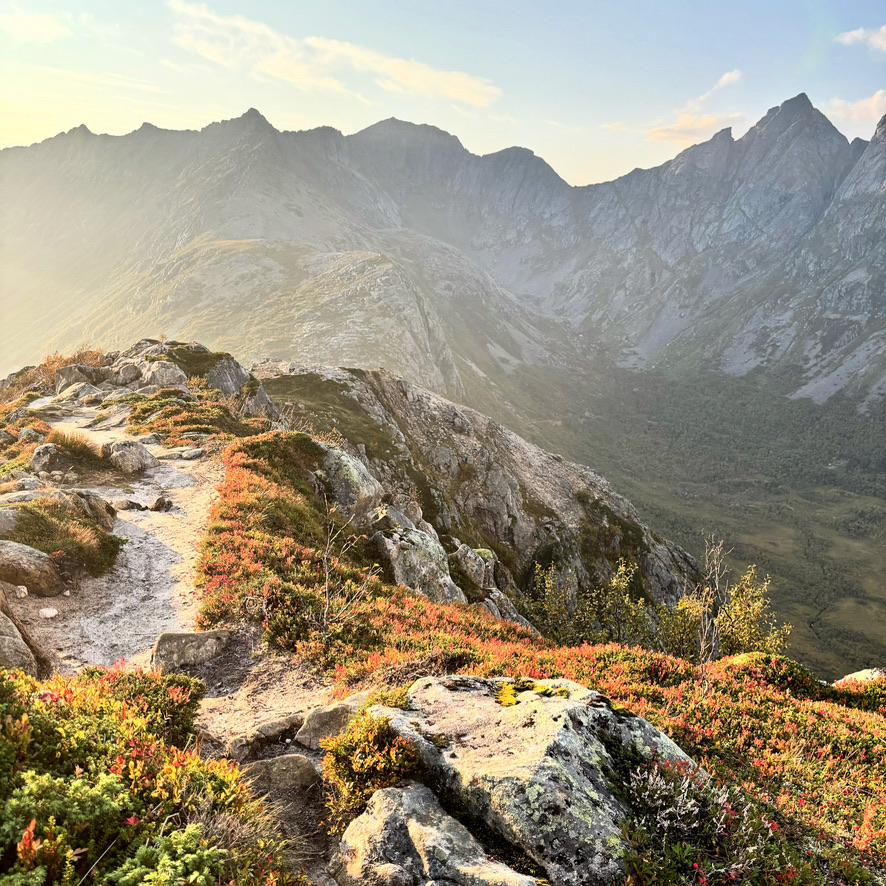 Slow Travel in Lofoten. Local tips from the Arctic Norway 