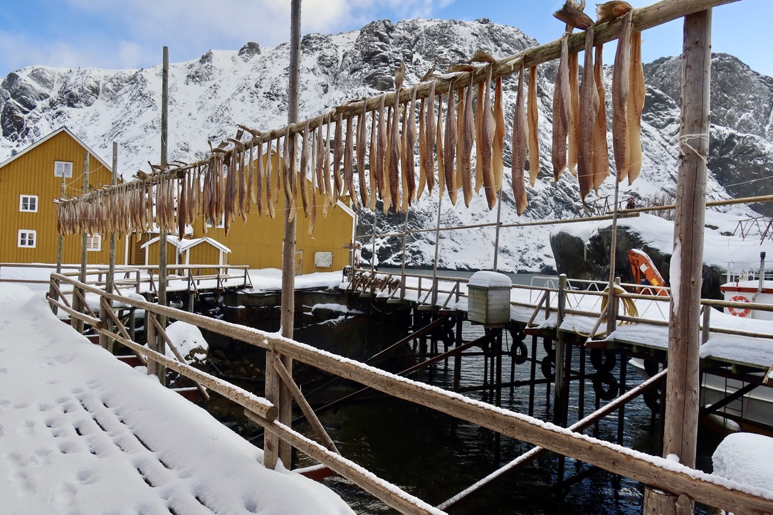 Lofoten in Aprils with Nusfjord 