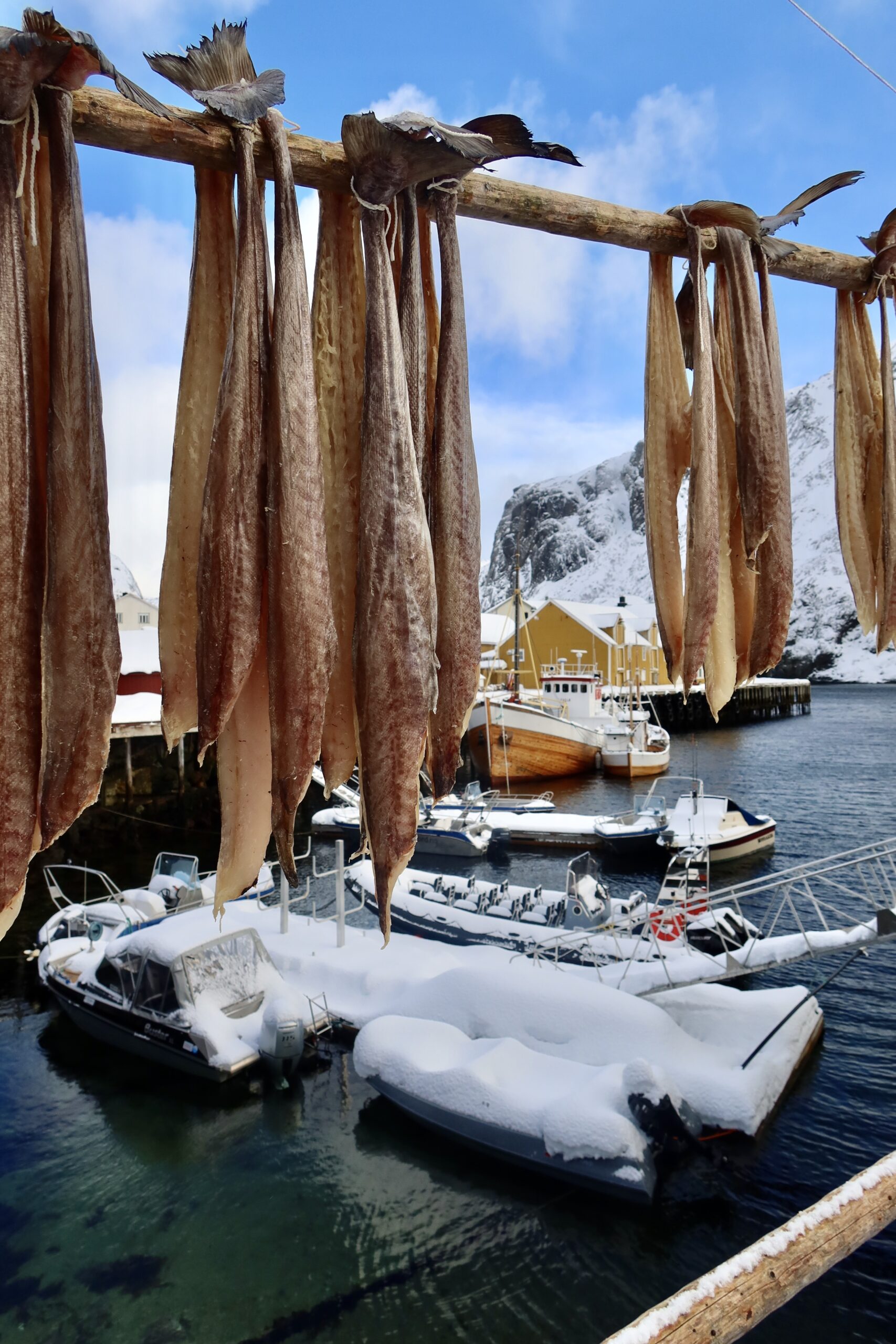 Lofoten in Aprisl with Nusfjord & Skrei 